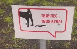 Прибирати чи ні? Коли Черкаси стануть містом культурного вигулу собак?