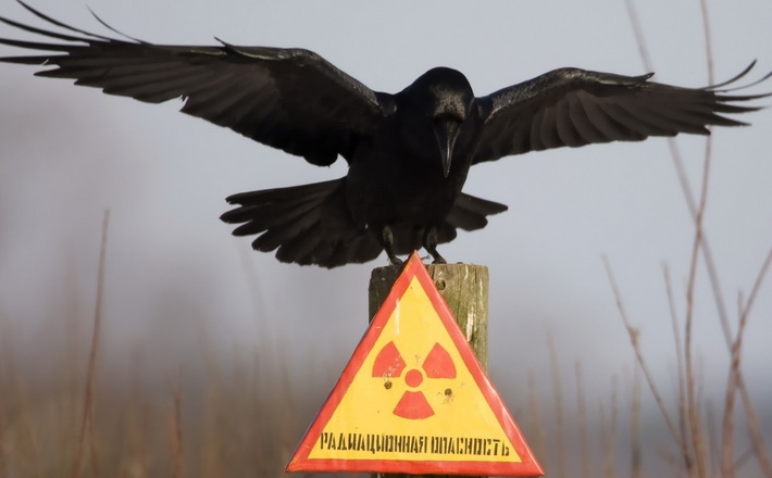 “Повідомлення про страшну техногенну катастрофу зайняло всього 17 секунд”, – спогади ліквідатора аварії на Чорнобильській АЕС