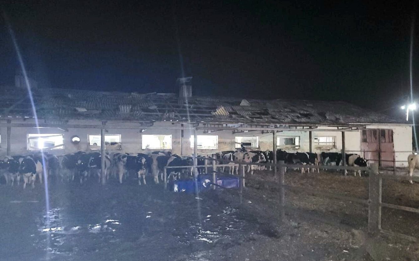 Травмувалися кілька десятків корів: на Черкащині збили 30 “шахедів”