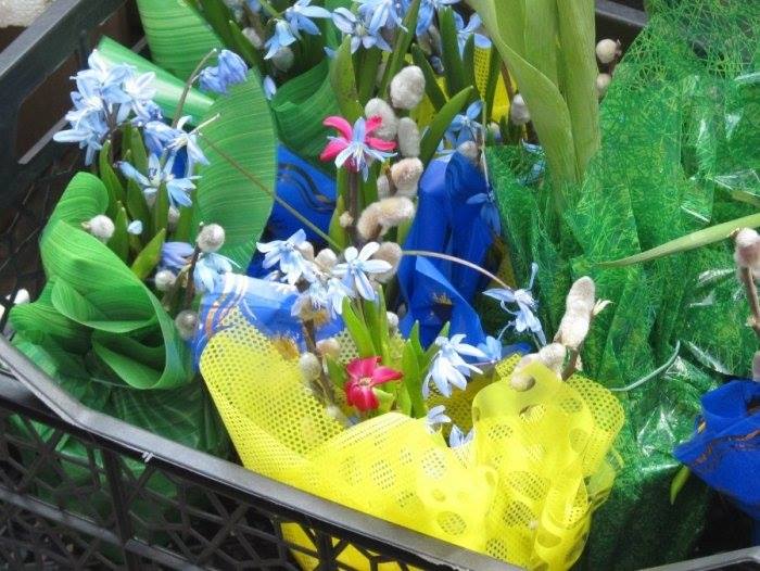 На Черкащині “на гарячому” затримали крадіїв первоцвітів
