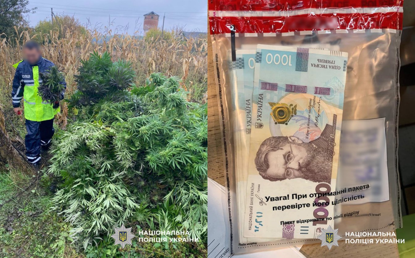 Жашківчанин зберігав удома коноплю, його затримали