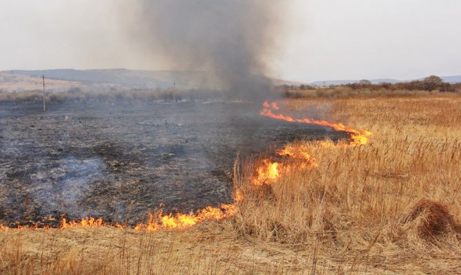 На Черкащині продовжує горіти торф