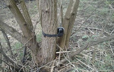 Громадянин рф хотів на Черкащині збути гранату, яку знайшов у лісі