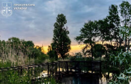 Землі, вартістю 90 млн грн, повертають державі на Черкащині
