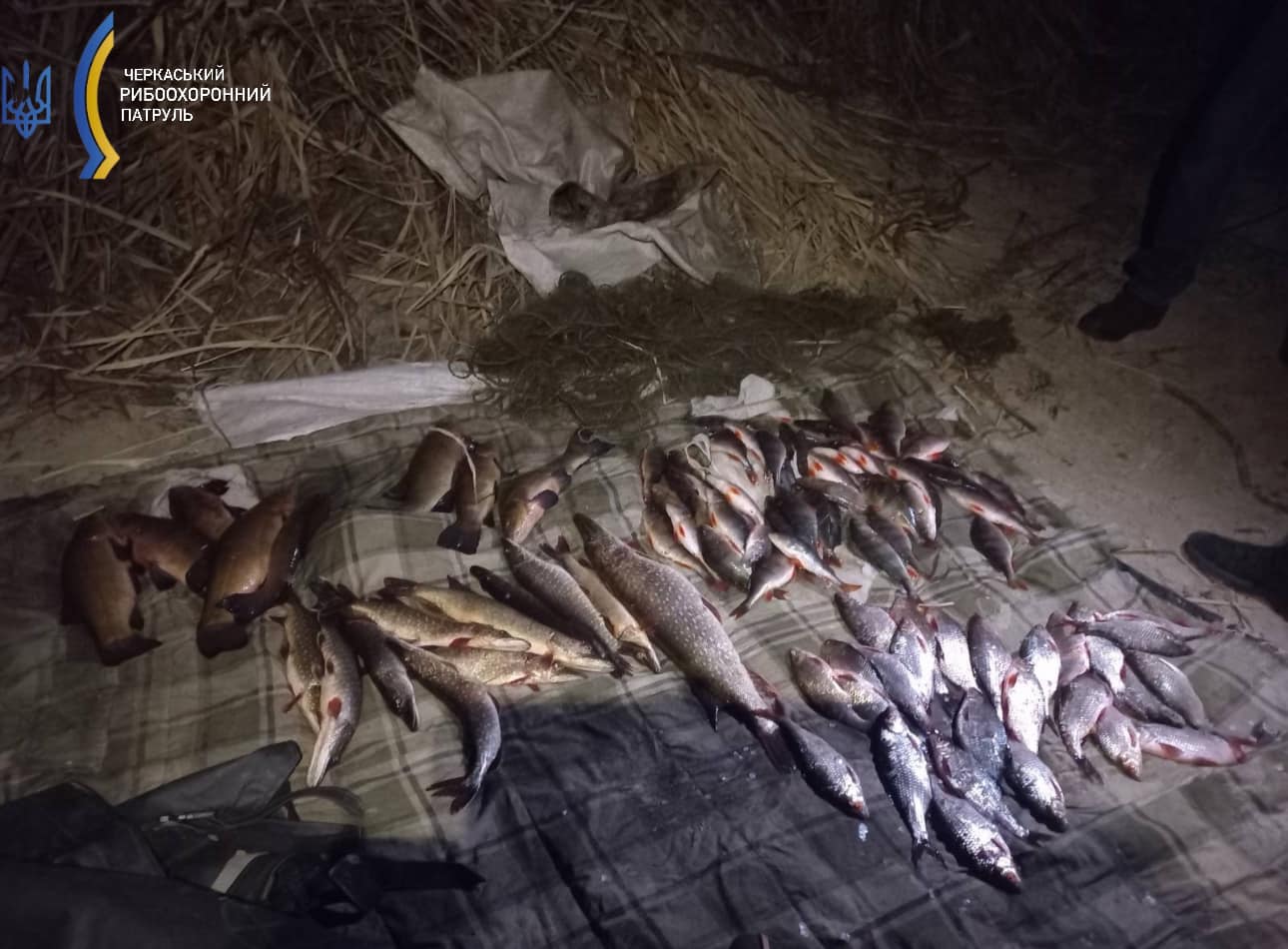 Черкащанин незаконно наловив риби на майже чверть мільйона гривень (ФОТО)