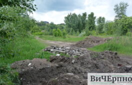 Пустир, спорткомплекс чи новенький пляж: що хочуть бачити черкасці на узбережжі Дніпра?