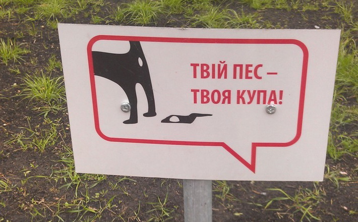 Прибирати чи ні? Коли Черкаси стануть містом культурного вигулу собак?