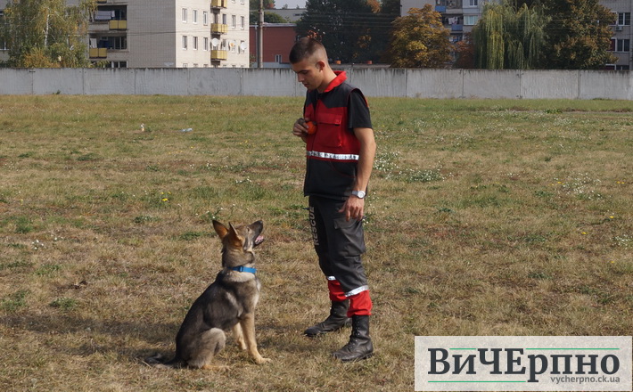 ДЕНЬ. Несобаче життя черкаських кінологів