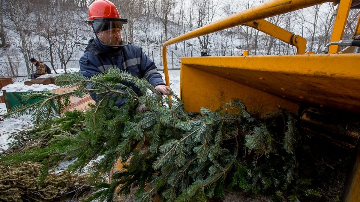 Куди черкащанам виносити новорічні ялинки