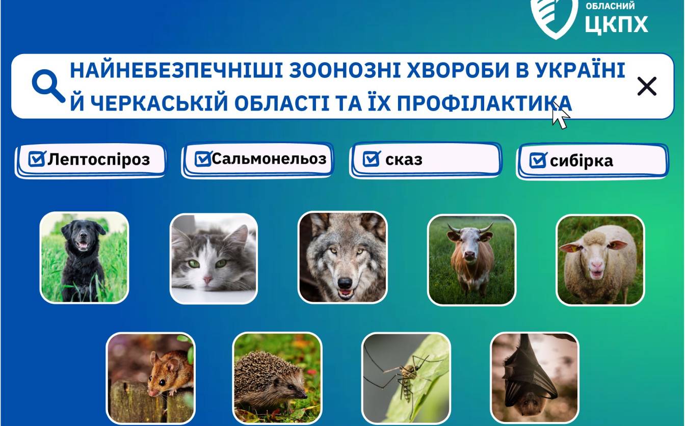 На Черкащині цього року одна людина померла від лептоспірозу